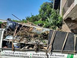 Best Residential Junk Removal  in Petal, MS