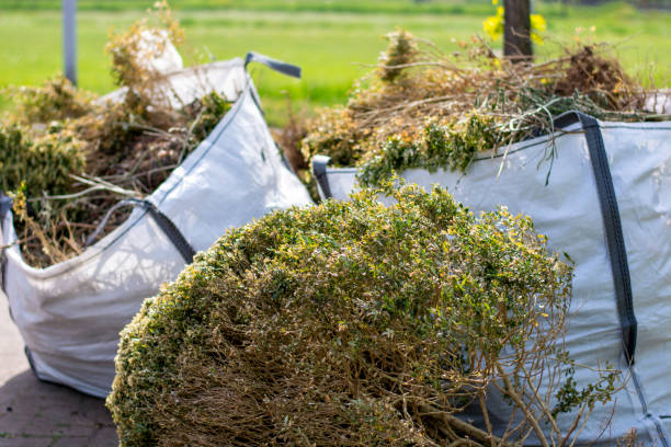 Best Shed Removal  in Petal, MS